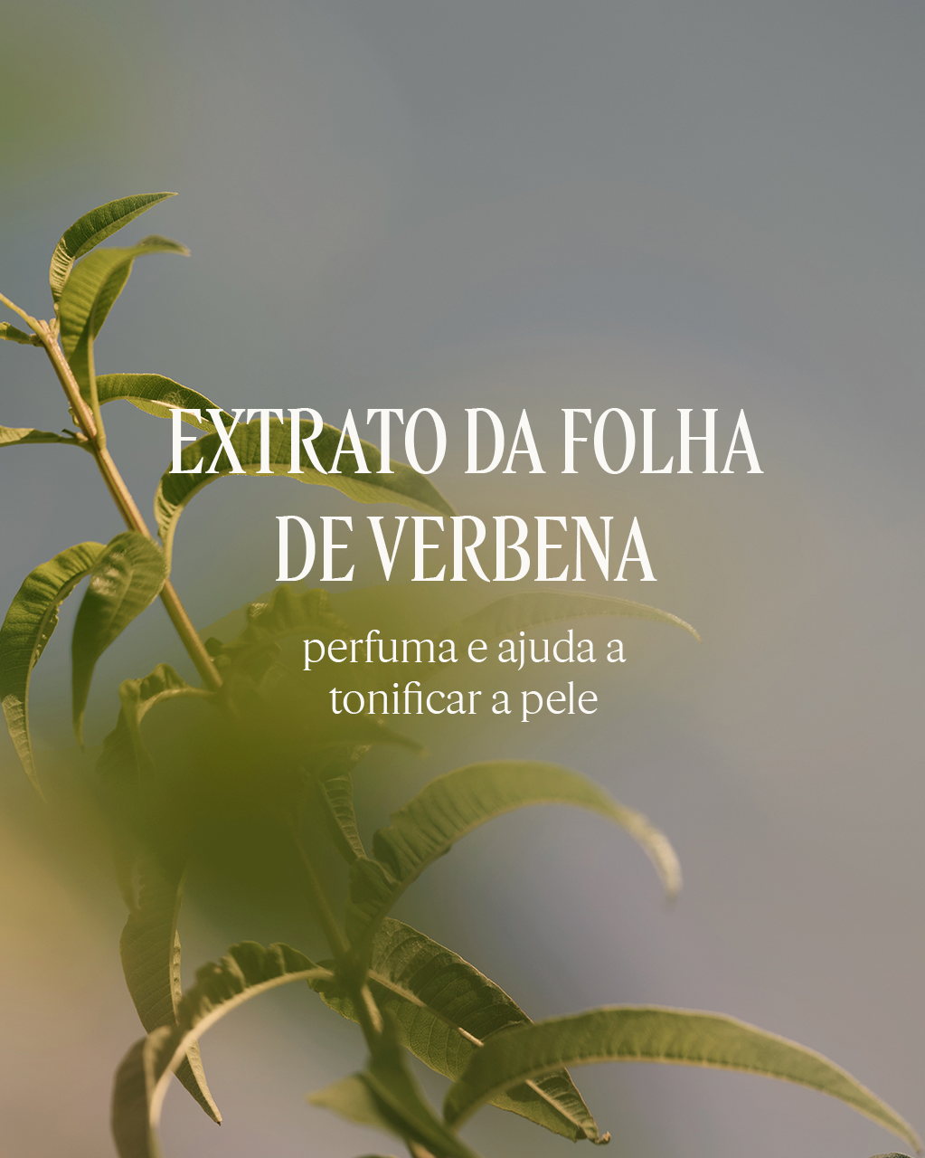 Creme para M&atilde;os Perfumado Verveine Agrumes (Verbena Citrus), , large